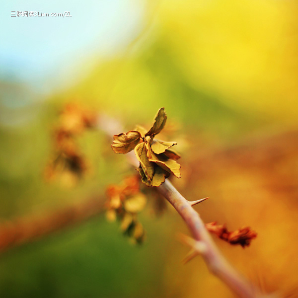 对自己负责 三联